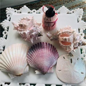 NEW! Pink Seashell Christmas Ornaments S/6